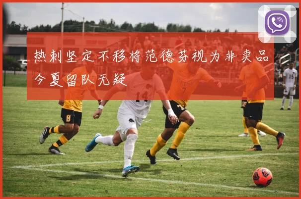 热刺坚定不移将范德芬视为非卖品今夏留队无疑