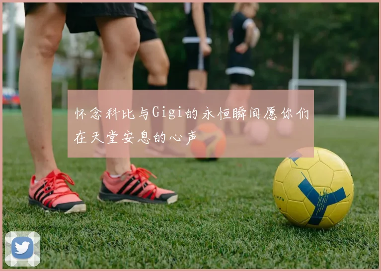 怀念科比与Gigi的永恒瞬间愿你们在天堂安息的心声